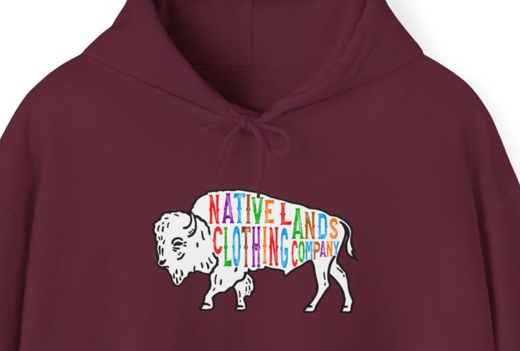 Bison Hoodie Rainbow First Nations, Canadian Aboriginal, Indigenous, Native American