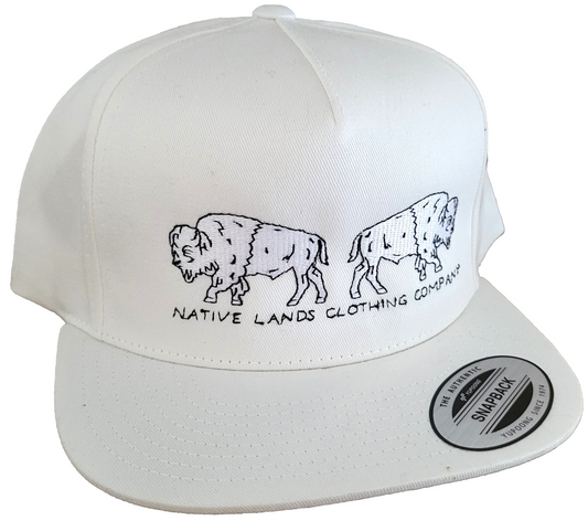Native Lands Clothing Company LLC Native American Native Owned Indigenous